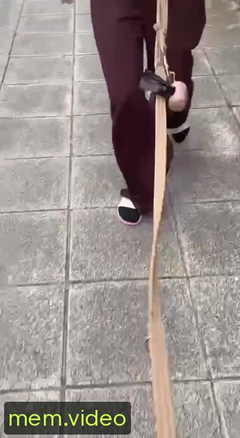 Кадр на 0:07
