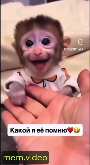 Кадр на 0:05
