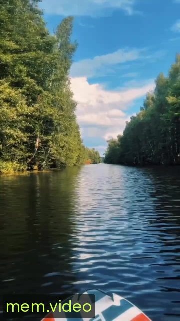 Кадр на 0:00