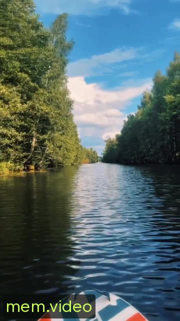 Кадр на 0:00