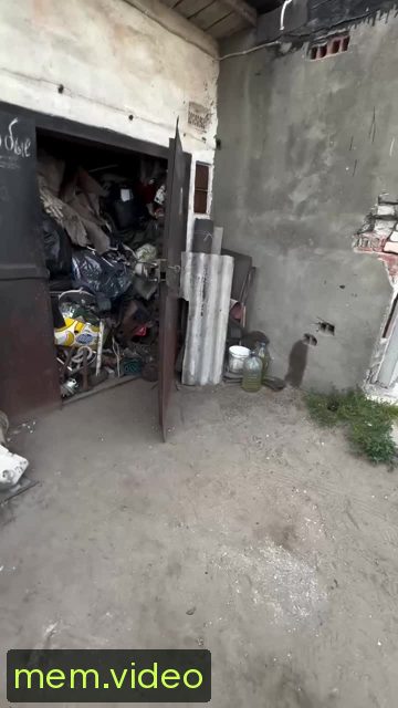 Кадр на 0:00