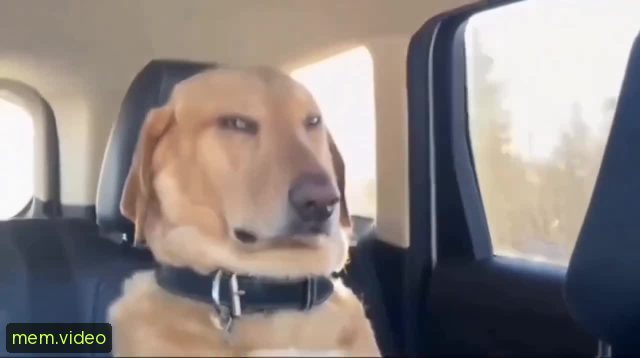 Кадр на 0:01