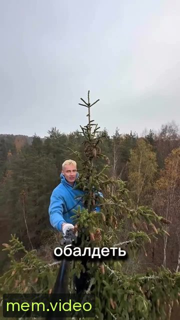 Кадр на 0:00