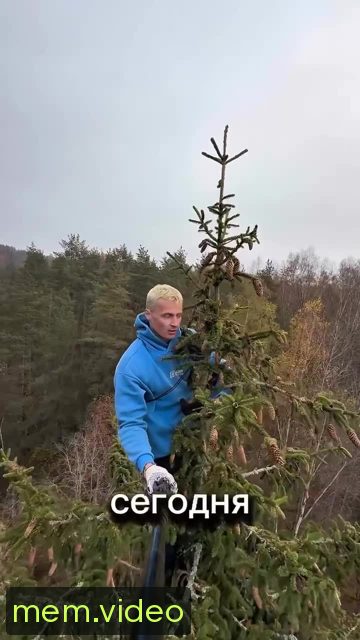 Кадр на 0:09