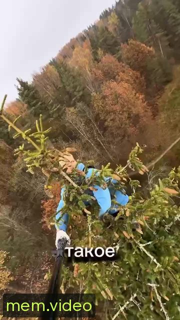 Кадр на 0:17
