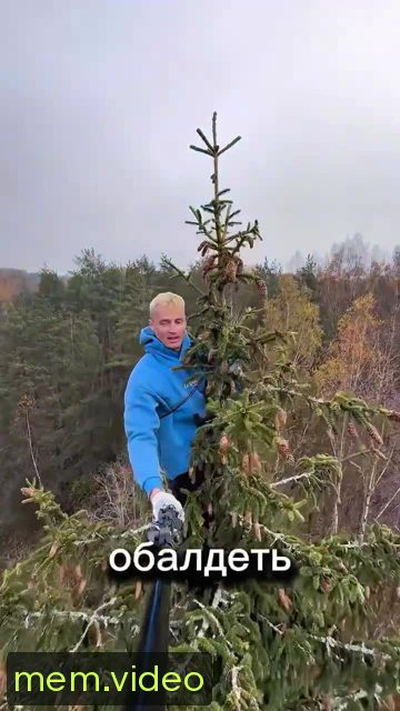 Кадр на 0:23