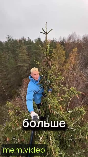 Кадр на 0:41