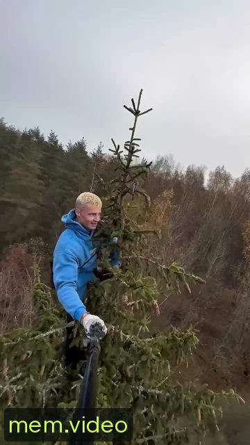 Кадр на 0:49