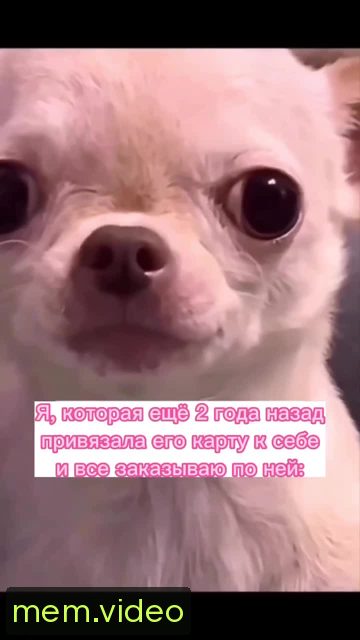 Кадр на 0:04