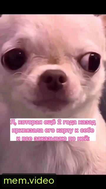 Кадр на 0:05
