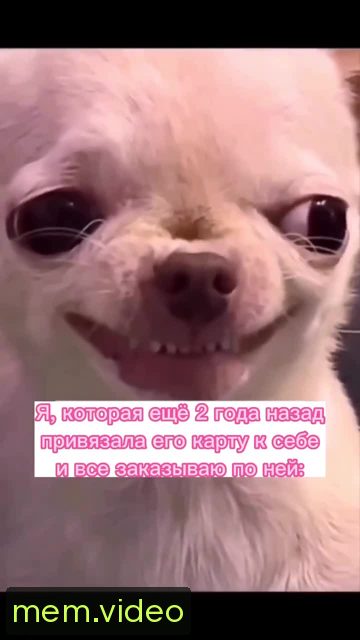 Кадр на 0:05
