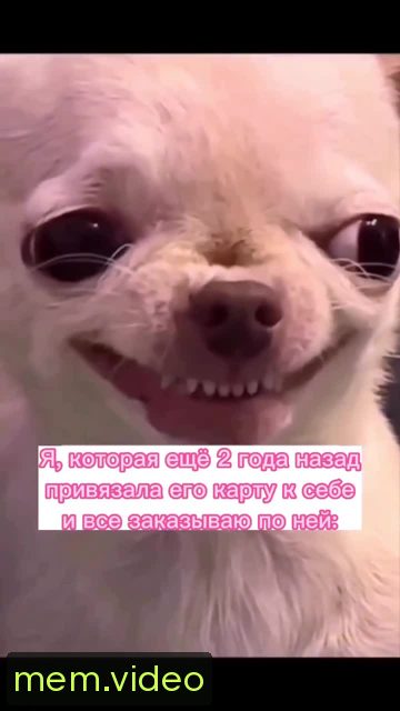 Кадр на 0:06
