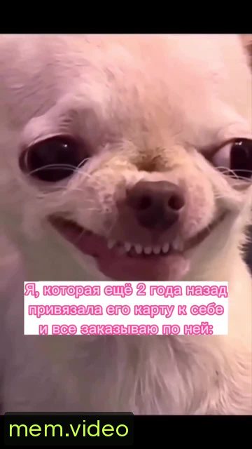 Кадр на 0:07