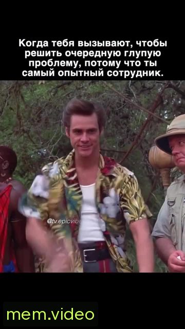 Кадр на 0:00
