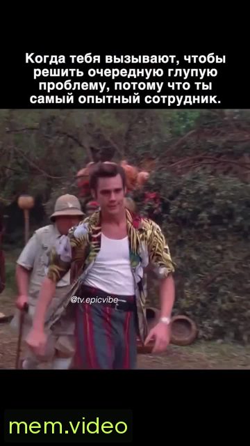Кадр на 0:04