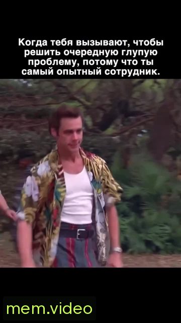 Кадр на 0:05