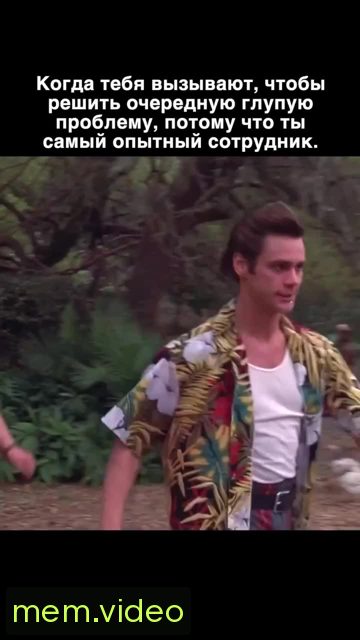 Кадр на 0:05