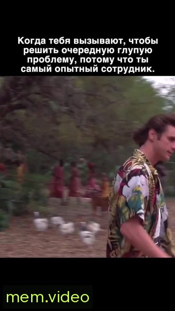Кадр на 0:06
