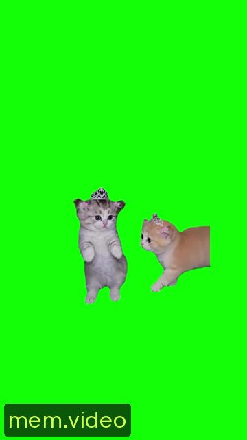 Кадр на 0:01
