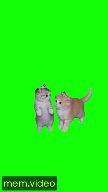 Кадр на 0:02