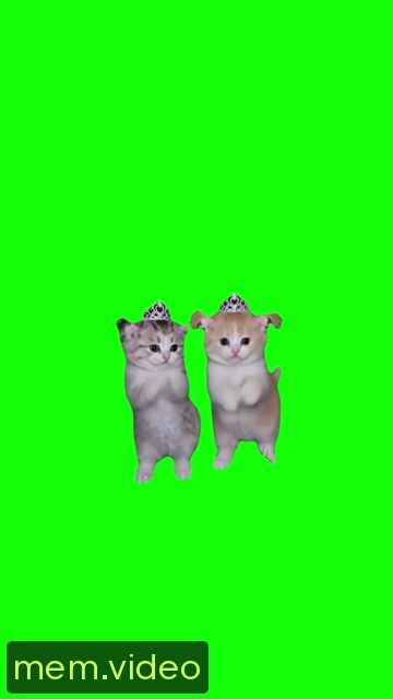 Кадр на 0:03