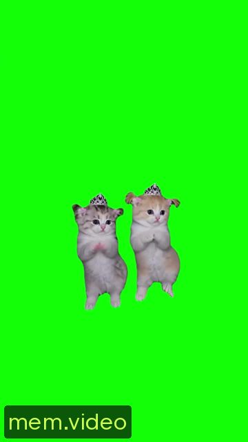 Кадр на 0:06