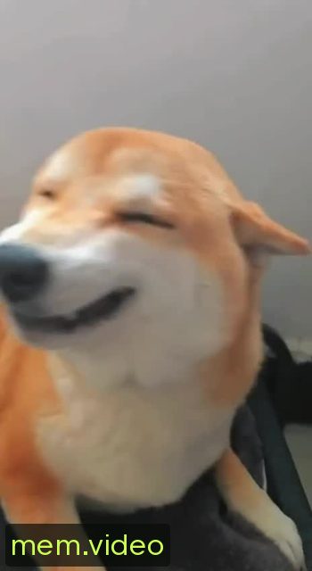Кадр на 0:00