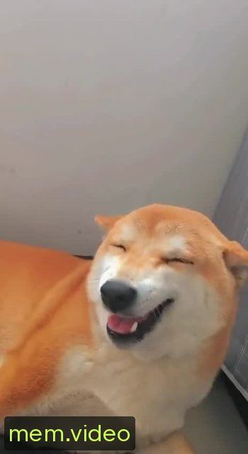 Кадр на 0:04