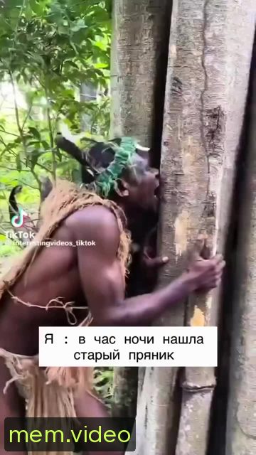 Кадр на 0:05