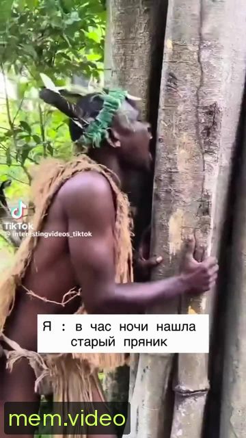 Кадр на 0:06