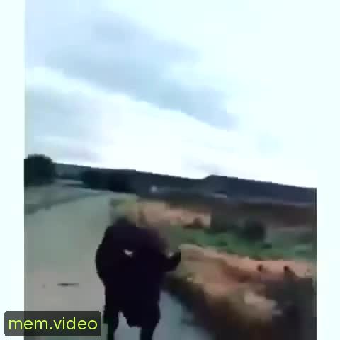 Кадр на 0:14