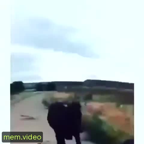 Кадр на 0:15
