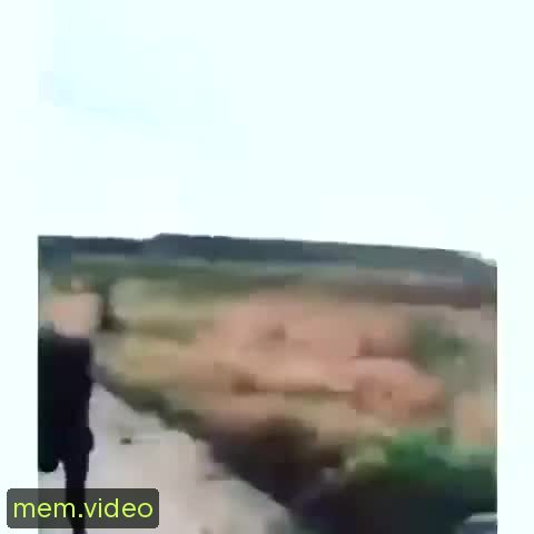 Кадр на 0:17