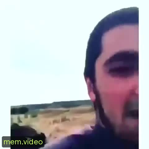 Кадр на 0:19