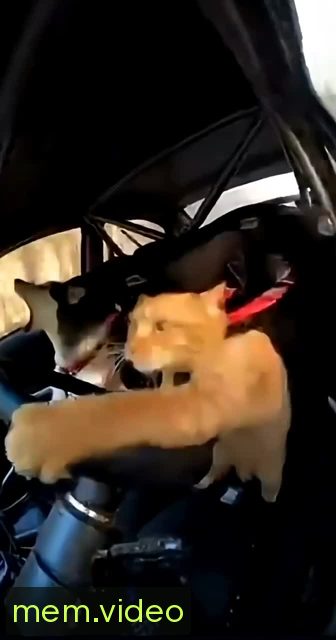 Кадр на 0:00