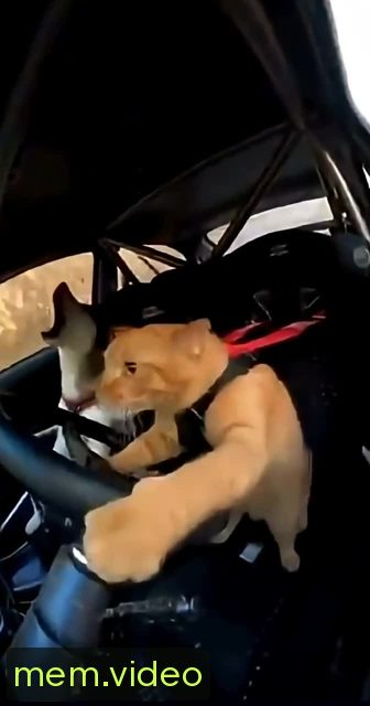 Кадр на 0:02