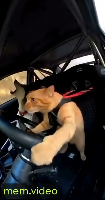 Кадр на 0:05