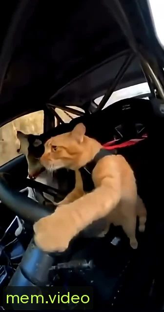 Кадр на 0:07
