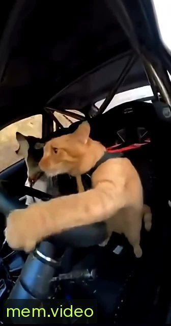 Кадр на 0:07