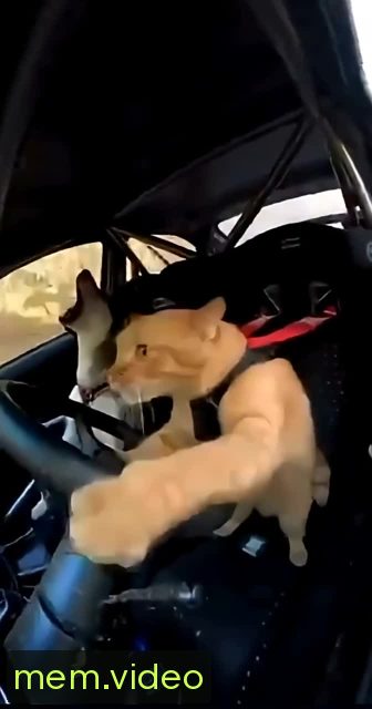 Кадр на 0:08
