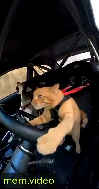Кадр на 0:09