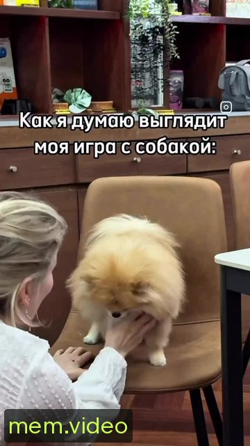 Кадр на 0:00