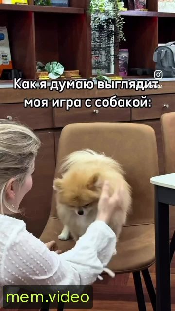 Кадр на 0:01
