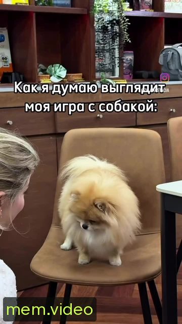 Кадр на 0:03