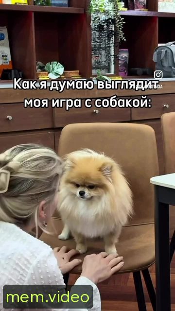 Кадр на 0:05