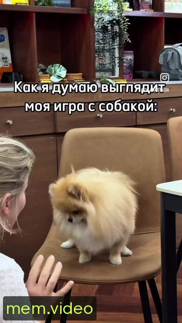 Кадр на 0:06