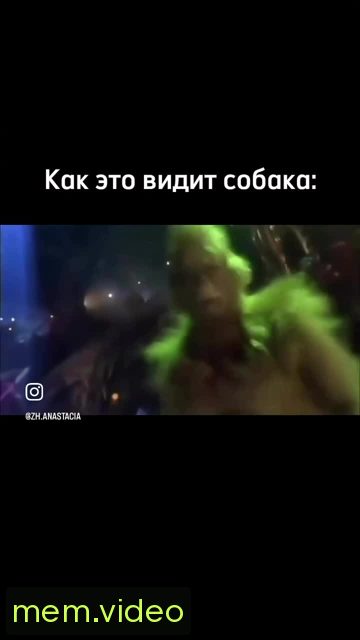 Кадр на 0:11