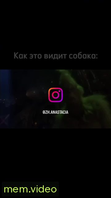 Кадр на 0:12