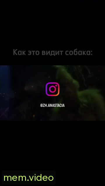 Кадр на 0:13