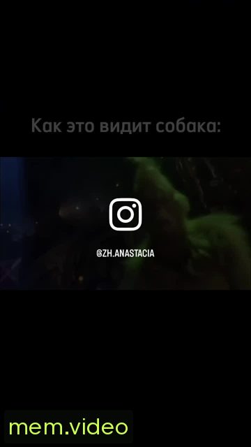 Кадр на 0:15